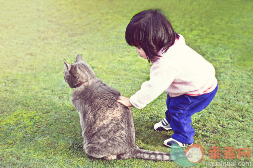 人,婴儿服装,鞋子,12到17个月,户外_478428309_Toddler girl stroking cat._创意图片_Getty Images China