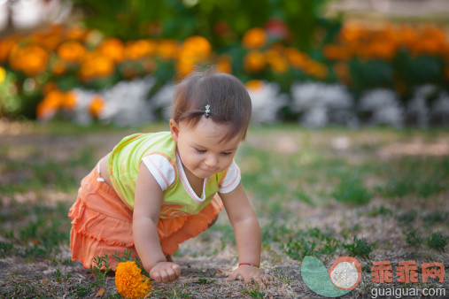 人,婴儿服装,12到17个月,四分之三身长,户外_492192409_A baby girl crawling amongst flowers in a  garden_创意图片_Getty Images China