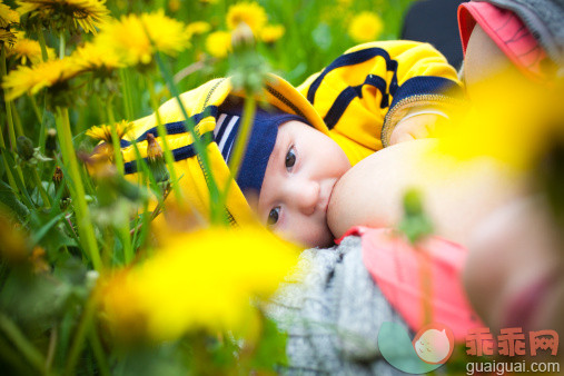 人,自然,户外,深情的,乳房_157434515_breast-feeding a baby in dandelion_创意图片_Getty Images China