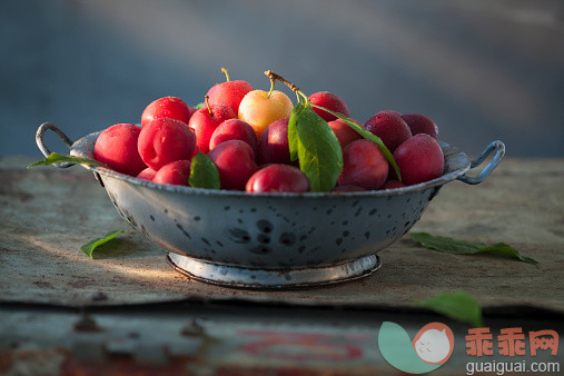 收获,健康生活方式,摄影,饮食,桌子_528882217_Plums_创意图片_Getty Images China