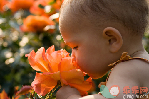 橙色,人,自然,户外,人的头部_157289014_Baby girl smelling giant rose_创意图片_Getty Images China