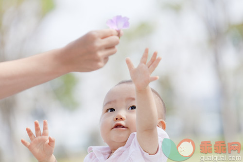自然,婴儿期,独生子女家庭,单亲家庭,母亲_gic11164783_Baby girl reaching for a flower held by her mother's hand in a park,close-up_创意图片_Getty Images China