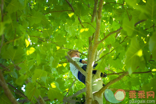 人,休闲装,T恤,户外,金色头发_103401408_Young boy sitting high in tree_创意图片_Getty Images China