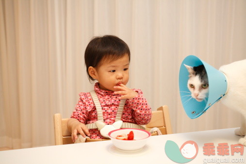 人,婴儿服装,椅子,饮食,室内_107850917_Girl and cat_创意图片_Getty Images China