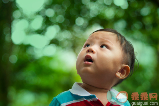 人,休闲装,户外,白昼,森林_146237023_Boy looks upward in forest_创意图片_Getty Images China