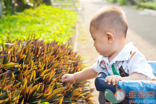 人,路,户外,满意,金色头发_144758438_Baby is touching plant in garden_创意图片_Getty Images China