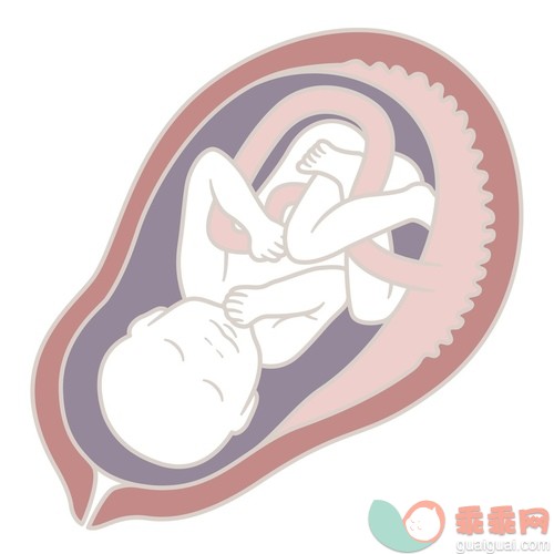 人,影棚拍摄,计算机制图,分娩,怀孕_gic18547329_Digital illustration of 32 week old human foetus in uterus_创意图片_Getty Images China