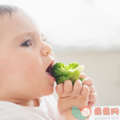 人,食品,12到17个月,室内,褐色眼睛_492644051_Baby girl (12-17 months) eating broccoli, Jersey City, New Jersey, USA_创意图片_Getty Images China