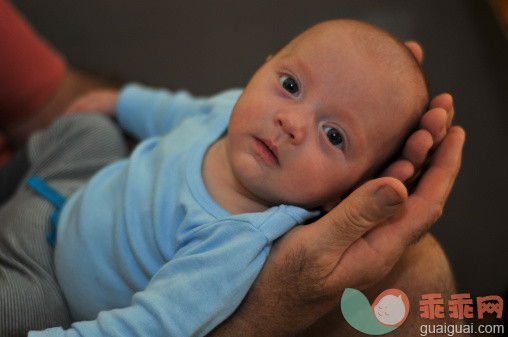 人,婴儿服装,手,白人,拿着_146583216_Curious alert baby lays in father's hands_创意图片_Getty Images China