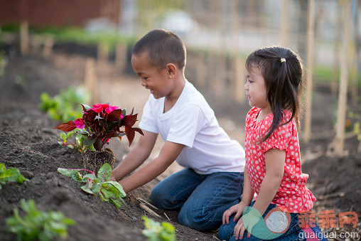 人,活动,事件,食品,农业_479703988_Siblings Learning to Garden_创意图片_Getty Images China