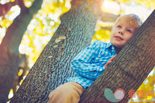 太阳,人,生活方式,户外,快乐_484575768_Child on a tree in autumn_创意图片_Getty Images China