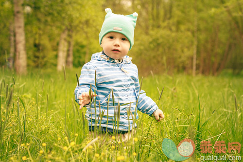 树,森林,可爱的,家庭,白桦_gic16040824_Walk on a meadow._创意图片_Getty Images China