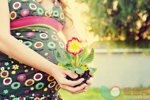 人,休闲装,户外,中间部分,25岁到29岁_163957014_Pregnant woman holding flower in hands._创意图片_Getty Images China