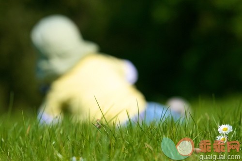 草,雏菊,摄影,_gic16281875_daisy_创意图片_Getty Images China