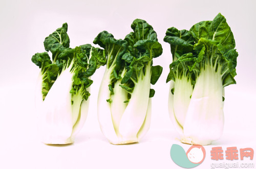 农业,甘蓝,烹调,瘦身,农场_gic13364820_Bunch of Fresh baby bok choy, Brassica rapa chinensis,  isolated_创意图片_Getty Images China