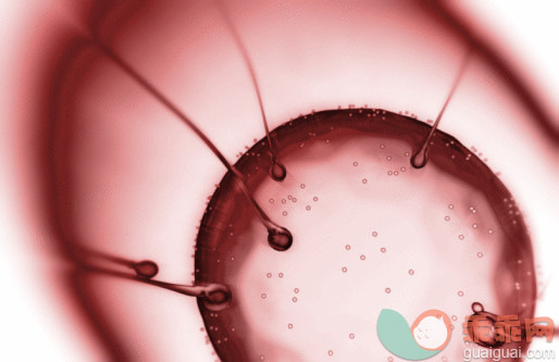 精子不液化能生育吗